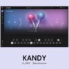 UJAM Beatmaker KANDY のGUI