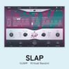 UJAM Virtual Bassist SLAP のGUI